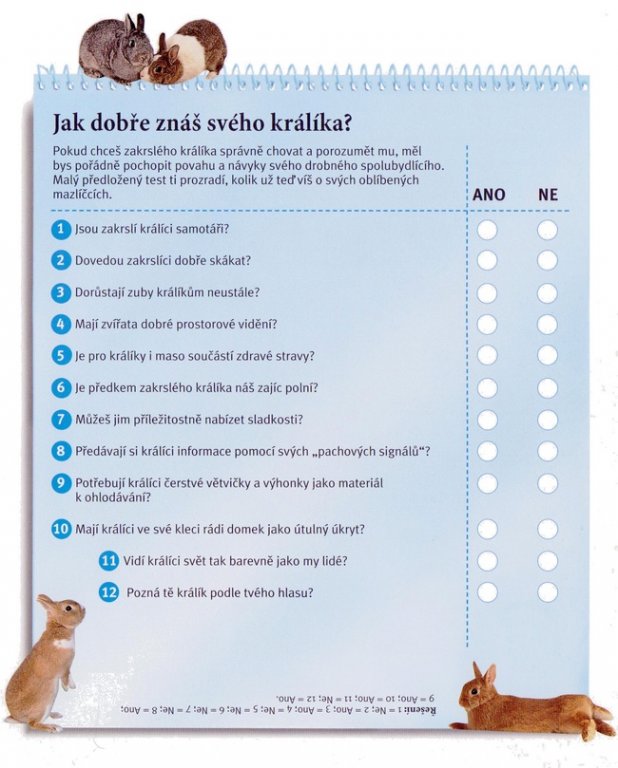 Testík1a